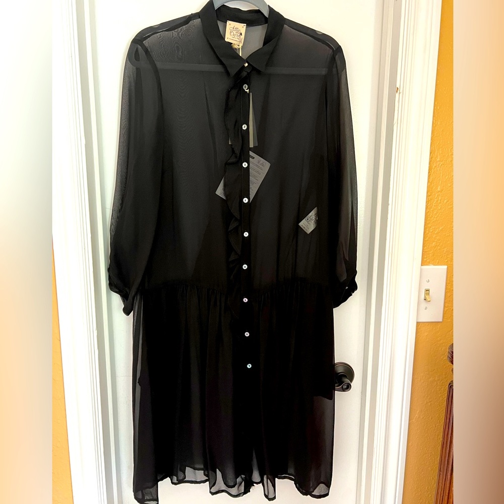 Attic and Barn sheer silk dress. Ruffles, buttons, flowy.